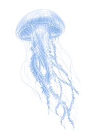 くらげのイラスト