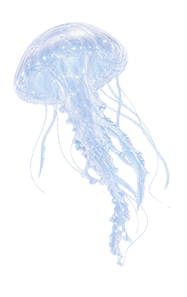 くらげのイラスト